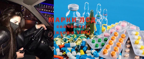 герыч Алексин